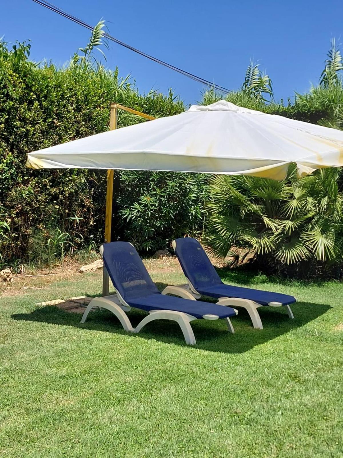 Modular King Suite - Intera Suite Vicino Aeroporto E Fiera Di Roma Fiumicino Exterior photo
